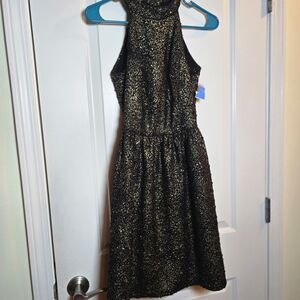 Ark & Co Black and Gold Mini Dress